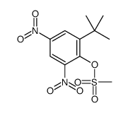 2,4-Dinitro-6-tert-butylphenyl methanesulfonate结构式