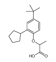 2-[2-cyclopentyl-4-(1,1-dimethylethyl)phenoxy]propionic acid structure