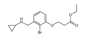 ethyl 3-{2-bromo-3-[(cyclopropylamino)methyl]phenoxy}propanoate Structure