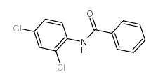 N-(2,4-dichlorophenyl)benzamide picture