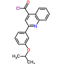 2-(3-Isopropoxyphenyl)-4-quinolinecarbonyl chloride图片