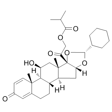 Ciclesonide picture