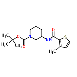 3-[(3-Methyl-thiophene-2-carbonyl)-amino]-piperidine-1-carboxylic acid tert-butyl ester Structure