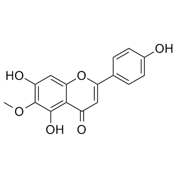 高车前素图片