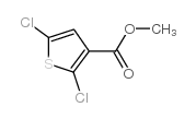 2,5-二氯噻吩-3-羧酸甲酯图片