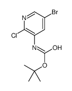 (5-溴-2-氯吡啶-3-基)氨基甲酸叔丁酯结构式