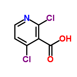 262423-77-8 structure