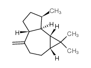 489-39-4 structure