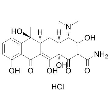 盐酸四环素图片