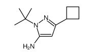 1-(叔丁基)-3-环丁基-1H-吡唑-5-胺图片