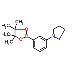 1-(3-(4,4,5,5-四甲基-1,3,2-二氧硼烷-2-基)苯基)吡咯烷结构式