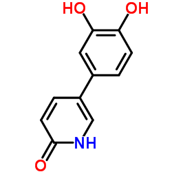 2(1H)-Pyridinone, 5-(3,4-dihydroxyphenyl)- (9CI) Structure