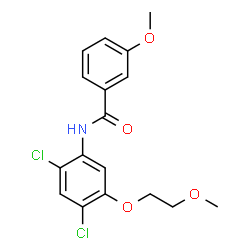 N-[2,4-DICHLORO-5-(2-METHOXYETHOXY)PHENYL]-3-METHOXYBENZENECARBOXAMIDE Structure