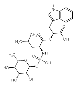 phosphoramidon Structure