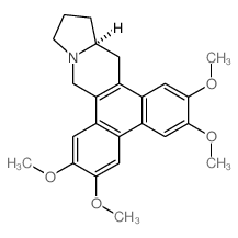 (+)-(S)-Tylophorine structure