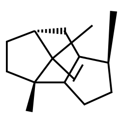 beta-patchoulene Structure