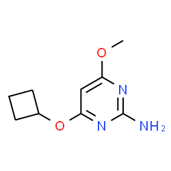 2-Pyrimidinamine, 4-(cyclobutyloxy)-6-methoxy- (9CI) picture