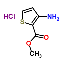 Methyl 3-amino-2-thiophenecarboxylate hydrochloride (1:1)结构式