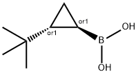 (2-(tert-butyl)cyclopropyl)boronic acid structure