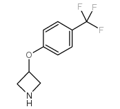 3-[4-(三氟甲基)苯氧基]氮杂环丁烷图片