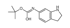 TERT-BUTYL INDOLIN-6-YLCARBAMATE picture