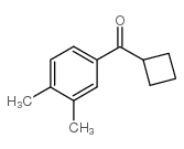 CYCLOBUTYL 3,4-DIMETHYLPHENYL KETONE结构式