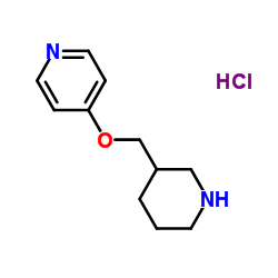 1261231-50-8 structure