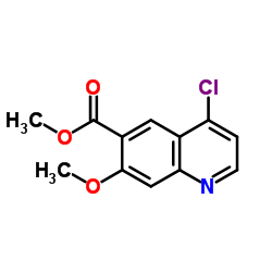 205448-66-4 structure