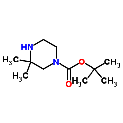 tert-Butyl-3,3-dimethylpiperazin-1-carboxylat structure