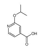 2-异丙氧基异烟酸图片