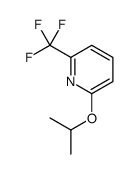 1255574-41-4结构式