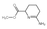 2-Pyridinecarboxylicacid,6-amino-2,3,4,5-tetrahydro-,methylester(9CI)结构式