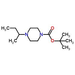 tert-butyl 4-sec-butylpiperazine-1-carboxylate picture