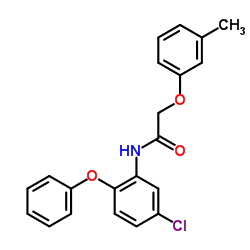 N-(5-Chloro-2-phenoxyphenyl)-2-(3-methylphenoxy)acetamide结构式