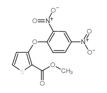 3-(2,4-二硝基苯氧基)-2-噻吩羧酸甲酯结构式