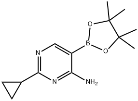 4-Amino-2-(cyclopropyl)pyrimidine-5-boronic acid pinacol ester图片