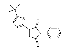 3-(5-tert-butylthiophen-2-yl)-1-phenylpyrrolidine-2,5-dione Structure