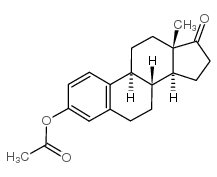 乙酸雌酮图片