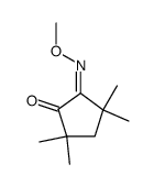 (Z)-5-(methoxyimino)-2,2,4,4-tetramethylcyclopentanone Structure