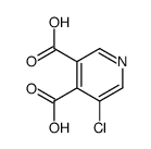 5-氯吡啶-3,4-二羧酸图片