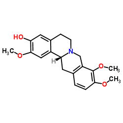 corypalmine picture