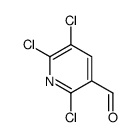 55304-74-0 structure