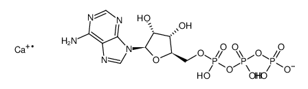 adenosine 5'-triphosphate calcium salt picture