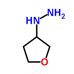 (tetrahydro-3-furanyl)Hydrazine Structure