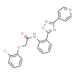 2-(2-Chlorophenoxy)-N-{2-[3-(4-pyridinyl)-1,2,4-oxadiazol-5-yl]phenyl}acetamide结构式