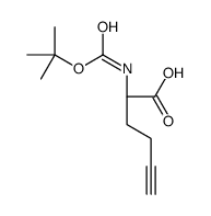 (R)-2-(Boc-amino)-5-hexynoic acid structure