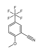 2-Methoxy-5-(pentafluoro-λ6-sulfanyl)benzonitrile图片