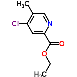 1261739-13-2 structure