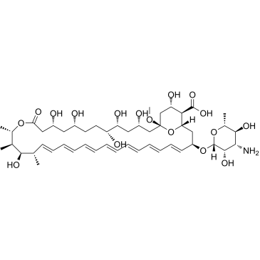 Amphotericin X1结构式