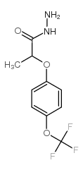 175204-37-2结构式